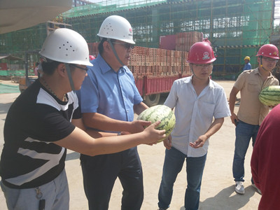 夏日暑正盛     清涼風(fēng)自揚(yáng)