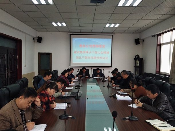 澄合分公司召開(kāi)貫徹落實(shí)兩次干部大會(huì)精神強(qiáng)化干部作風(fēng)建設(shè)推進(jìn)會(huì)