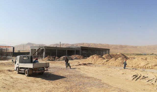 揚(yáng)帆海外志不渝