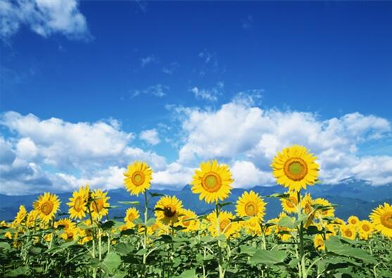 用責(zé)任點(diǎn)燃青春，以擔(dān)當(dāng)成就事業(yè)