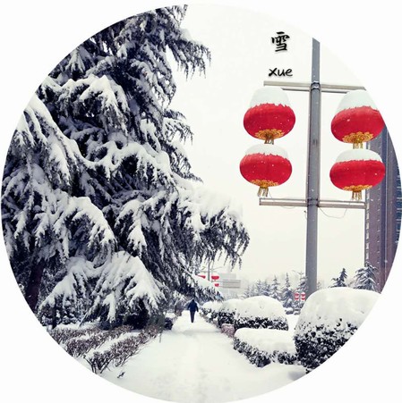 雪，寒冬里的溫柔