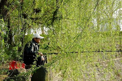 春天，一個多么富有詩意的名字??！