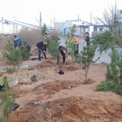 洗選煤運(yùn)營公司洗煤廠： 開展“植樹造林美化家園”活動
