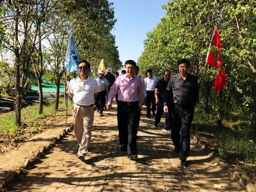 陜西省總工會黨組書記、主席白阿瑩一行蒞臨鄠邑區(qū)調(diào)研考察草堂寺健康養(yǎng)老示范項(xiàng)目