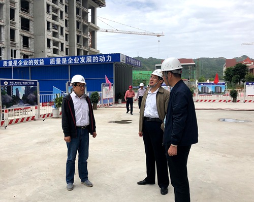 司正林深入大秦置業(yè)公司江南世紀(jì)城項目檢查指導(dǎo)安全工作
