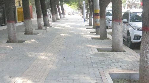 陜煤建設(shè)天工公司土建八部緊抓大慶路提升亮化工程 為蒲白成立六十周年獻禮