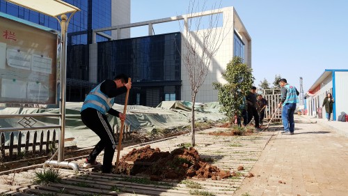 陜煤建設(shè)澄合分公司基層單位開展“植樹護(hù)綠，美麗家園”義務(wù)植樹活動(dòng)