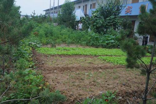 陜煤建設(shè)掘進公司：北翼項目部“綠色農(nóng)場”開張啦