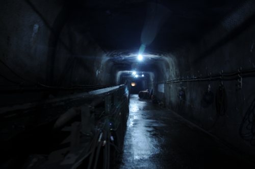 陜煤建設(shè)掘進(jìn)公司：紅柳林項(xiàng)目部“三抓一樹”促管理提升