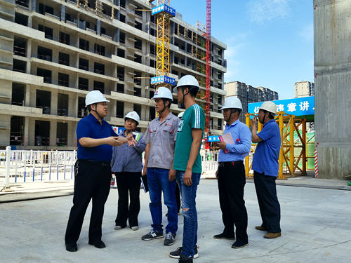 王寧深入藍山水岸項目調(diào)研工作