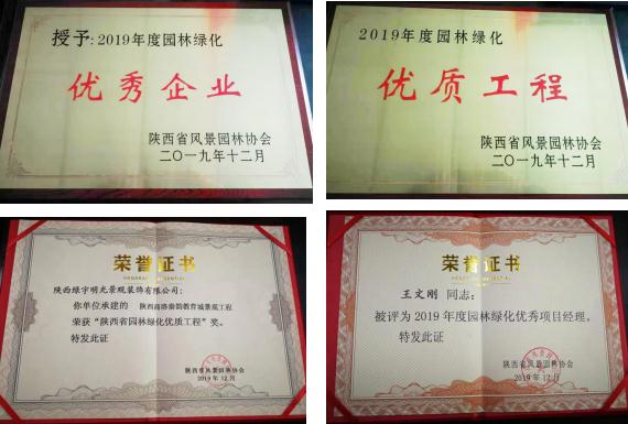 喜訊！綠宇公司榮獲省級“2019年度園林綠化優(yōu)秀企業(yè)”等三項榮譽