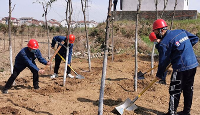 今天你植樹了嗎？