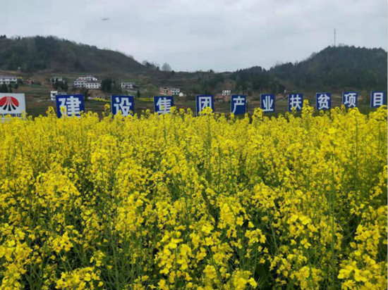 公司領(lǐng)導(dǎo)寧興剛、侯本英到扶貧定點(diǎn)幫扶村看望慰問困難群眾