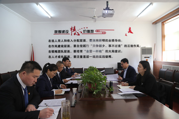 司正林蒞臨指導(dǎo)機(jī)電安裝公司專題民主生活會(huì)