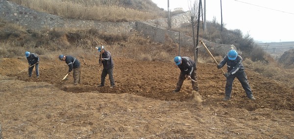 陜煤建設(shè)洗選煤運(yùn)營(yíng)公司左權(quán)洗煤廠項(xiàng)目部：春耕“小菜園”，播種幸福感