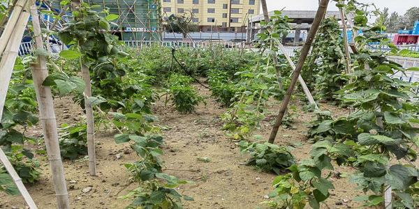 陜煤建設(shè)內(nèi)蒙古分公司第二項目部：一分耕耘“三分”收獲