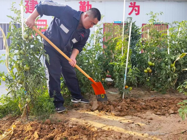 陜煤建設(shè)洗選煤運(yùn)營(yíng)公司第七項(xiàng)目部：開(kāi)墾“試驗(yàn)田” 扎根大荒漠