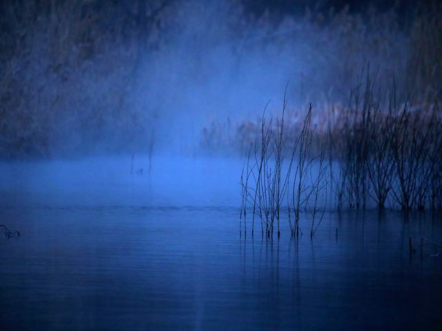 “冬月”你好！