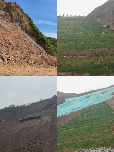 渣山變綠林，碎石堆場(chǎng)批“綠裝”