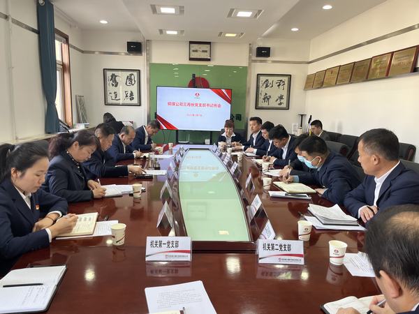 陜煤建設銅煤公司：升級黨建一體矩陣 賦能生產(chǎn)經(jīng)營融合提升