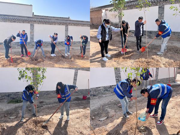 陜煤建設(shè)韓城分公司土建四項目部：栽種綠色希望，不負青春時光