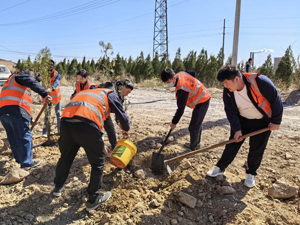 陜煤建設漢中分公司：不負春光 “植”此新綠