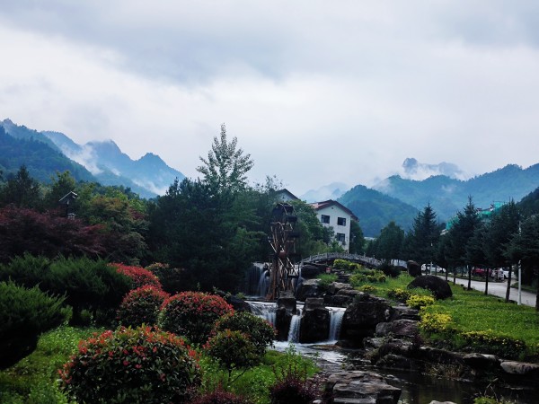 在木王山，遇見21℃的夏天