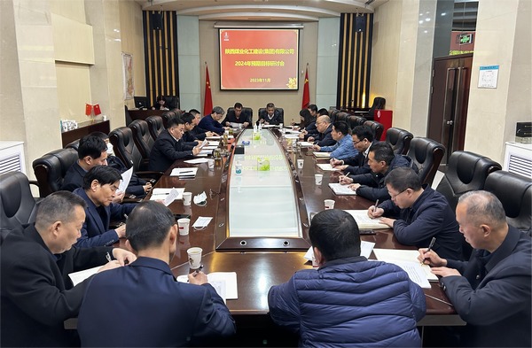陜煤建設(shè)召開2024年預(yù)期目標(biāo)研討會(huì)