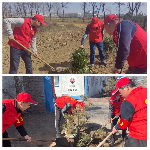 陜煤建設(shè)澄合分公司發(fā)揮黨建動(dòng)力為項(xiàng)目工地添綠意
