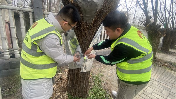 陜煤建設(shè)路橋分公司渭南項目部開展“綠色修復(fù)，生態(tài)共贏”別樣植樹節(jié)活動