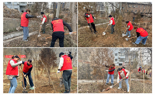 陜煤建設(shè)機(jī)電安裝公司：走，上春山，植樹去！