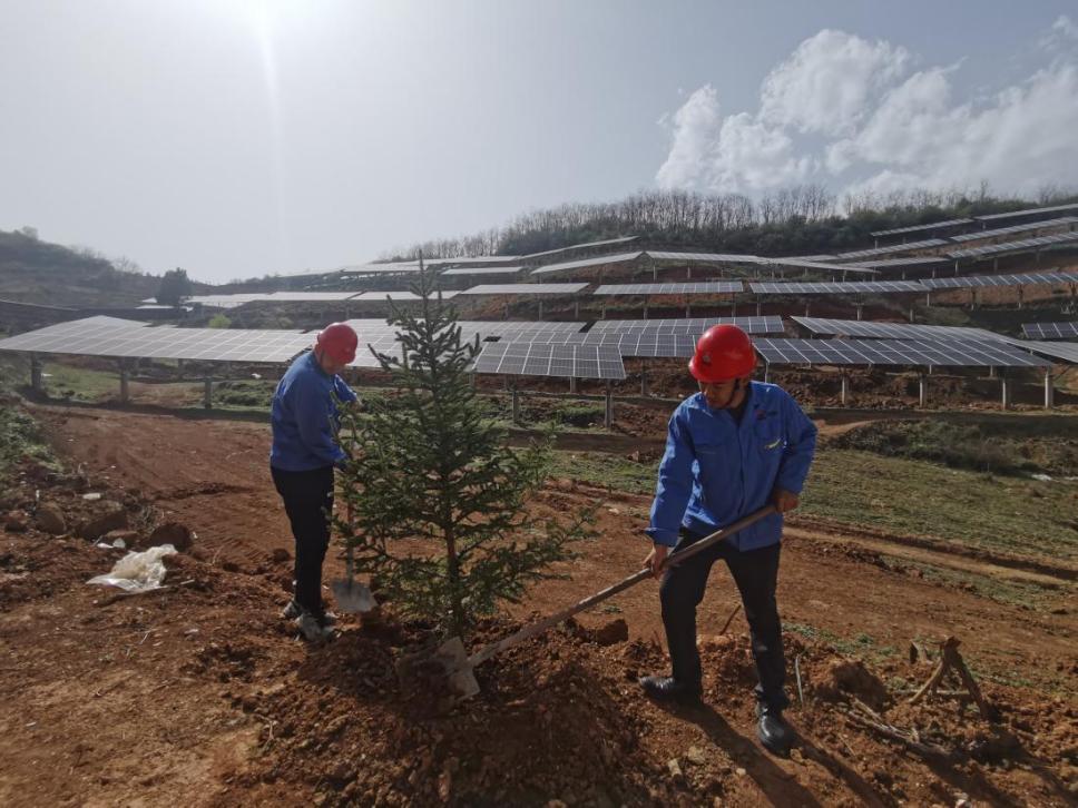 陜煤建設(shè)西北分公司機(jī)電安裝項(xiàng)目部： 全員參與，共筑綠色屏障