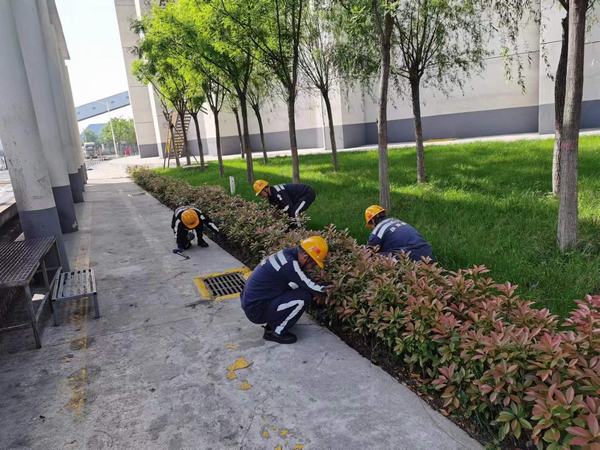 陜煤建設(shè)洗選煤運(yùn)營(yíng)公司神渭蒲城運(yùn)營(yíng)項(xiàng)目部：逐”綠”而行 向”綠”而興！廠區(qū)綠化在行動(dòng)