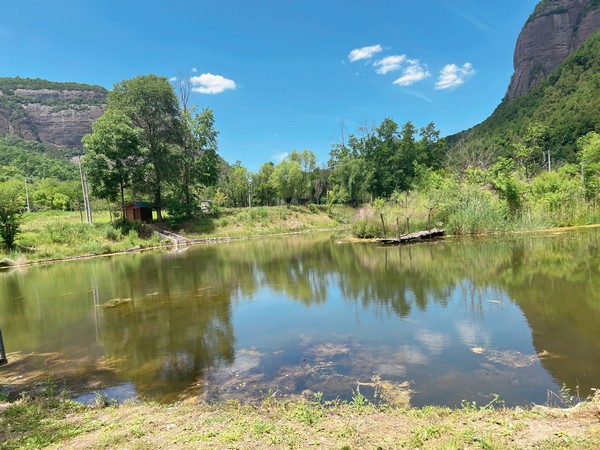 春天再見，夏天你好