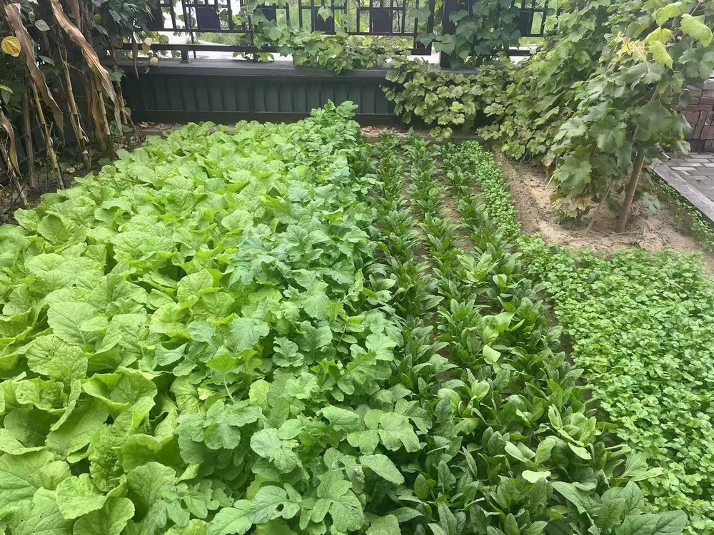 工地之上，家的溫度悄然綻放