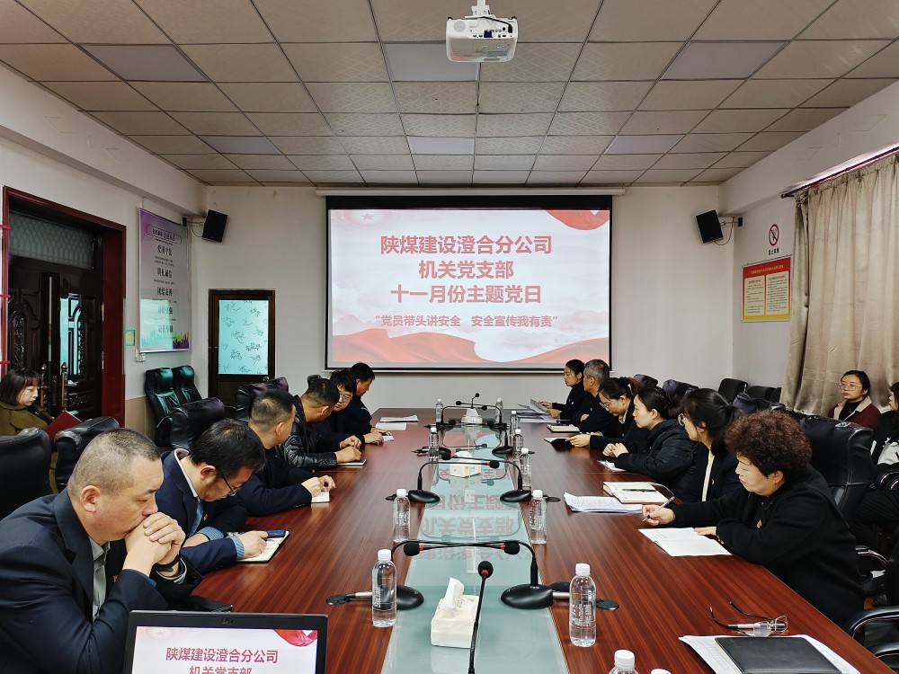 陜煤建設(shè)澄合分公司機(jī)關(guān)黨支部開展“黨建引領(lǐng)聚合力 安全護(hù)航促發(fā)展”主題黨日活動