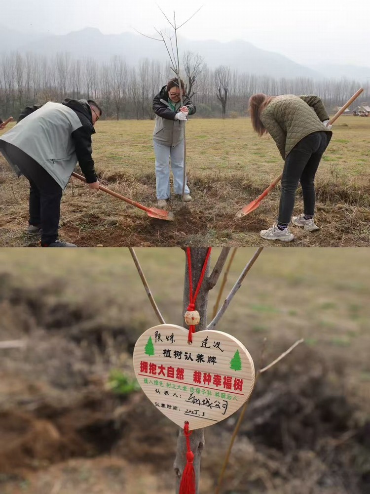 陜煤建設(shè)新城公司：“植”此青綠 共“樹(shù)”未來(lái)