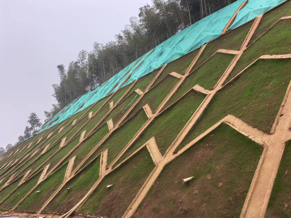 陜煤建設(shè)西北分公司：邊坡披綠衣，防護(hù)顯匠心