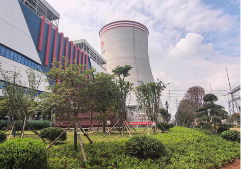 陜煤建設(shè)西北分公司：綠意盎然入電廠，生態(tài)建設(shè)譜新章