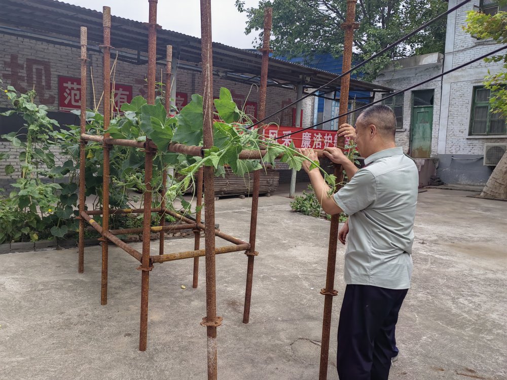 平凡堅守，織就的那些暖心緣