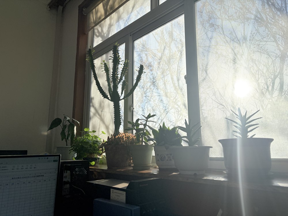 冬陽(yáng)正好，步履鏗鏘