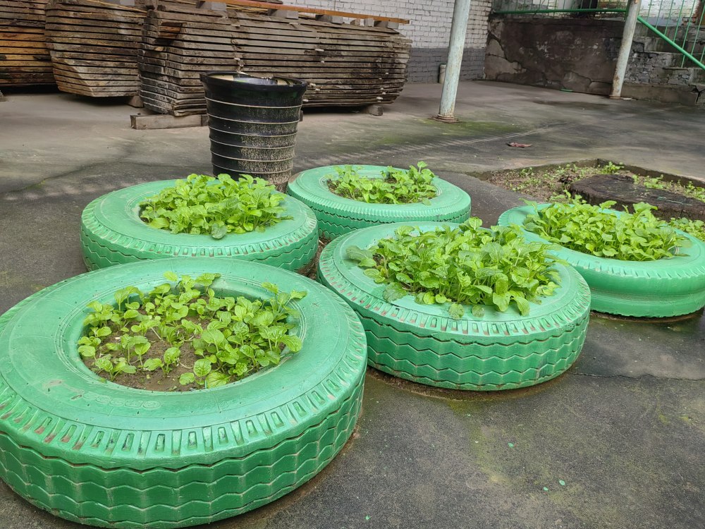 創(chuàng)意無休，廢舊輪胎也能C位出道