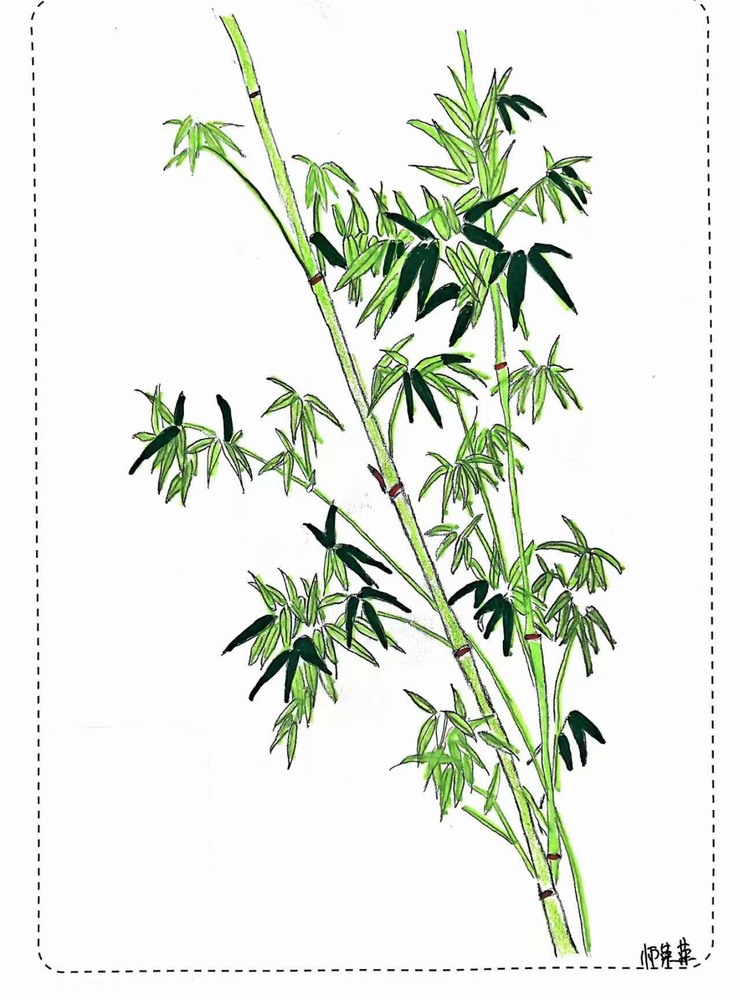 漫說廉潔！這組“草木廉盟”太可了