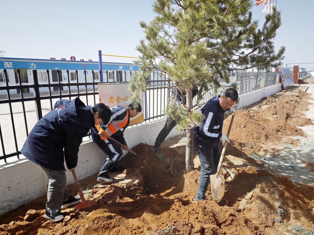 陜煤建設礦建三公司:植綠潤人心 聚力促實干