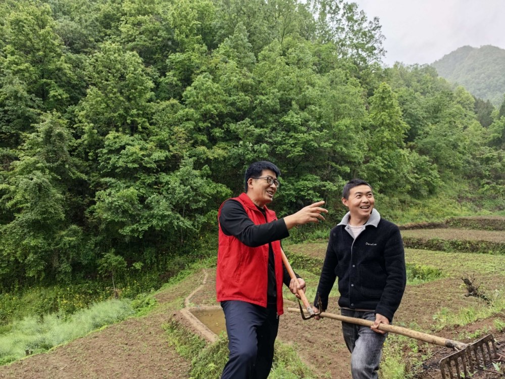 雨生百谷，情滿(mǎn)山村