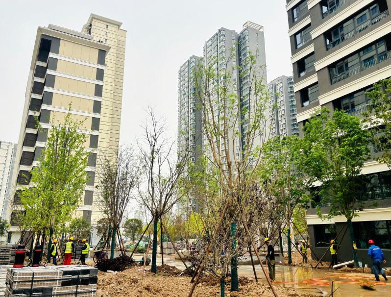 禮贊勞動(dòng)筑匠心  青春奮進(jìn)建新功